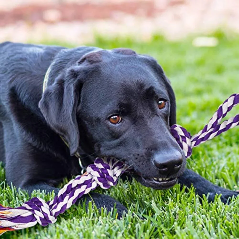 Indestructible Dog Rope Toys Heavy Duty Aggressive Chewers Large Breed Set